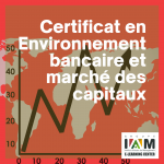 Certificat en Environnement Bancaire et Marché Des Capitaux