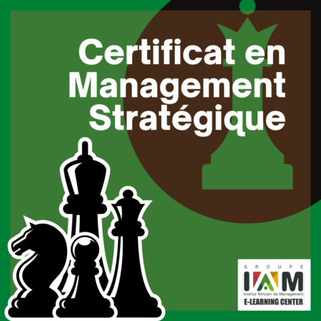Certificat en Management Stratégique